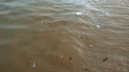 Polluted Beach with Trash and Debris on Shore