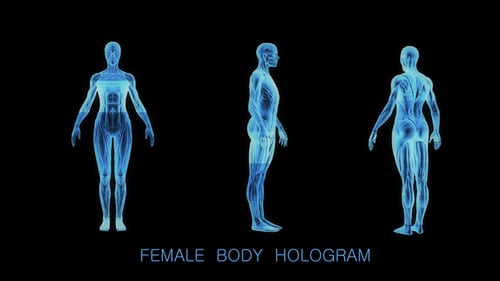 3D Holographic Human Anatomy Scan Rotating