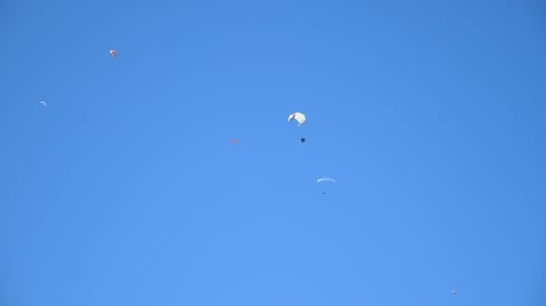 Several paragliders soaring in clear blue sky on summer sunny day. People flying on parachutes