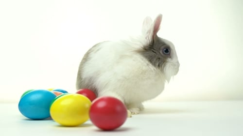 Osterhase sitzt in der Nähe eines Nestes mit bunten Eiern auf weißem Hintergrund