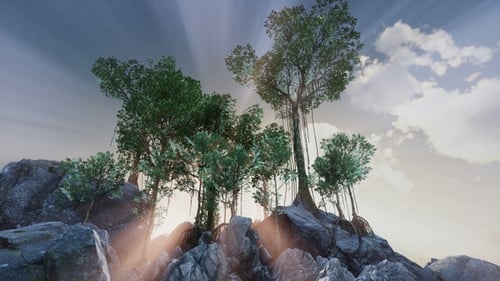 Sun Beams Through Trees