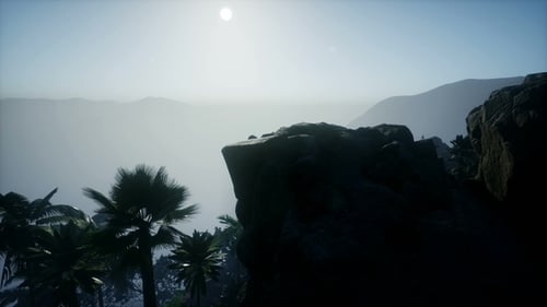 Tropical Palm Trees with Sun Rays Over Mountain Landscape