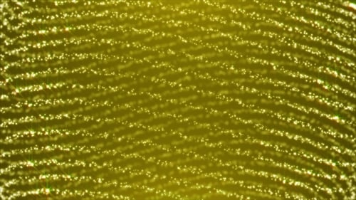 Shimmering Golden Particle Lines Waving Background Loop
