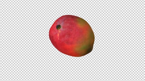 3D Mango