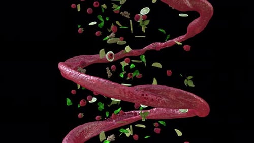 Fluid Raspberry Lime Ginger Splash Element