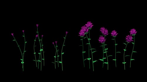 Blooming Purple Flowers Organic Growth Animation