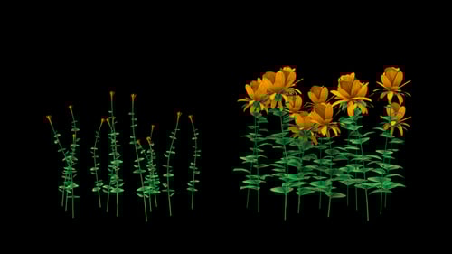 Animated Blooming Flowers Growth with Alpha Channel