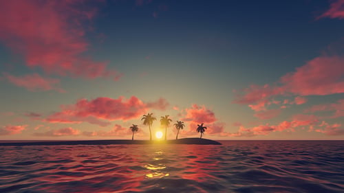 Palm Trees - Sunset Background