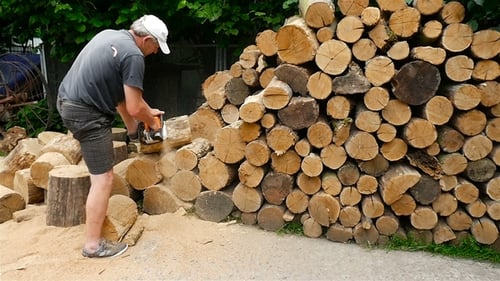 Man Cuts Wood with Chainsaw, Woodpile in Background