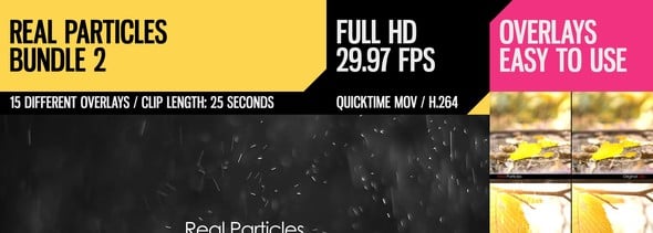 Real Particles Bundle 2 (Heavy Particles)