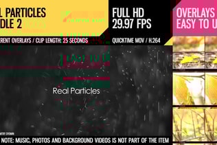 Real Particles Bundle 2 (Heavy Particles)