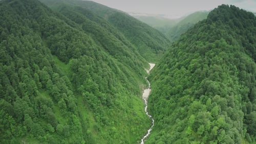 Caucasus Mountains River Caucasian Beauty Nature Georgia Animals Waterwall Drone
