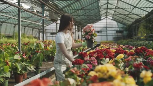 Woman tending to flowers in greenhouse with sprayer