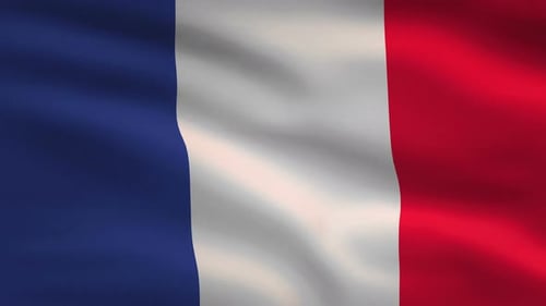 Seamless Looping Waving French Flag Animation