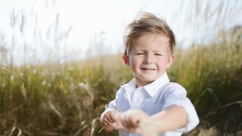 Adorable Little Kid Standing in the Middle of Field, Plays with Natural Wheat Spike. Having Fun
