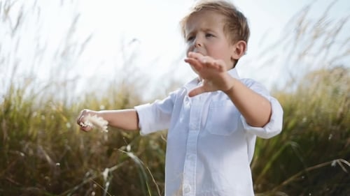 Young Boy Plays in a Sunny Grassy Field