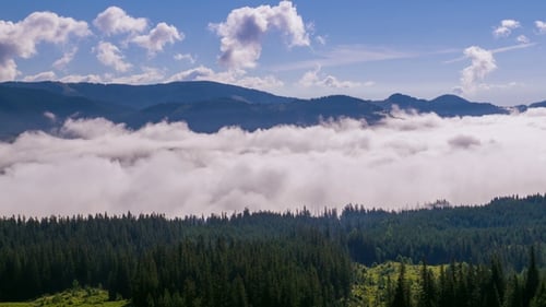 Mountains and Forest Enshrouded in Clouds Aerial View