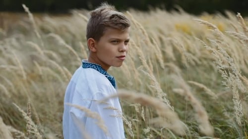 Joyful Boy in a Traditional Ukrainian Embroidered Shirt Standing in the Middle of Field of Wheat