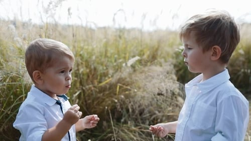 Two Little Boys in the Middle of the Field Share Their Candies with Each Other