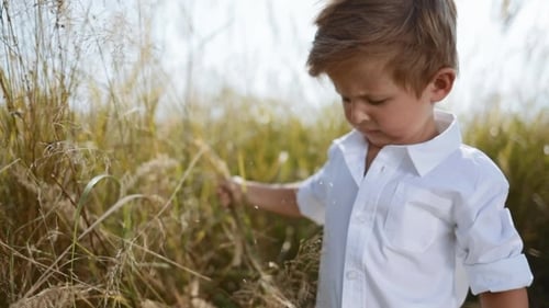 Little Cute Boy Stands in the Middle of Field, Seriously Tears Apart High-grass Going for a Walk