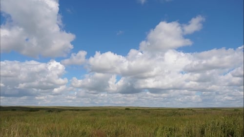 Summer Landscape with Field of Grass,blue Sky . Green Grass Field Landscape with Fantastic Clouds in