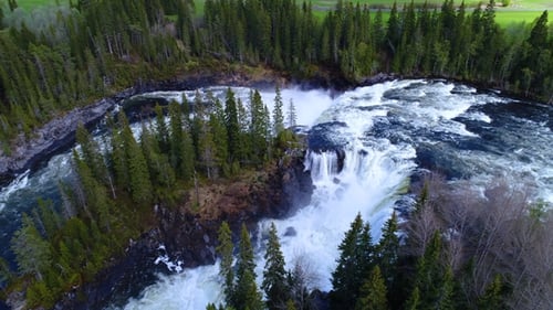 Aerial View of Waterfall in Lush Green Forest