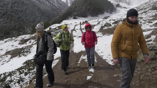 Hikers Walk Along the Road in the Mountain Gorge