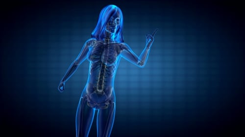 Human Bones Radiographic Scan