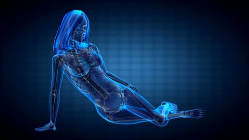 Human Bones Radiographic Scan