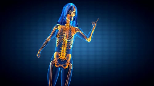Futuristic X-Ray Female Skeleton and Organs Scan