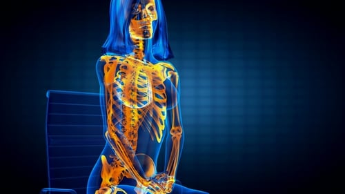 Human Bones Radiographic Scan