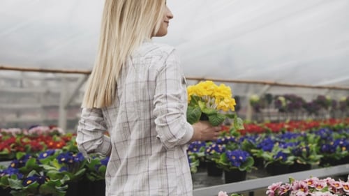 Woman Carrying Yellow Flowers Through Greenhouse