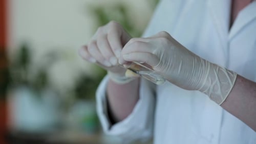 Person Wearing Gloves Testing the PH of a Chemical in a Test Tube