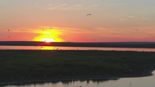 A Flock of Birds on the Background of Colorful Sky. Sunset on the River. Island of Gulls