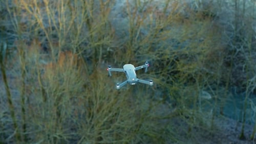 Vuelo de Zumbido