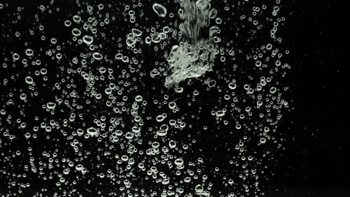 Bubbles auf Schwarz