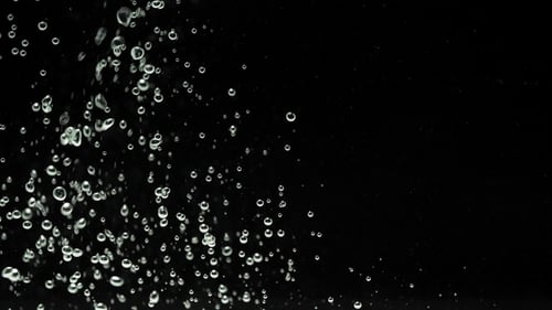 White Bubbles on Black