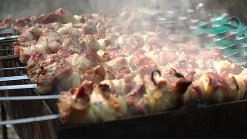 Food Grilling on Barbecue. Grilled Meat Shashlik