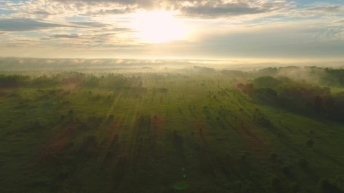 Flying Back and Up Over Green Field and Trees in Misty Sunny Morning. Aerial View