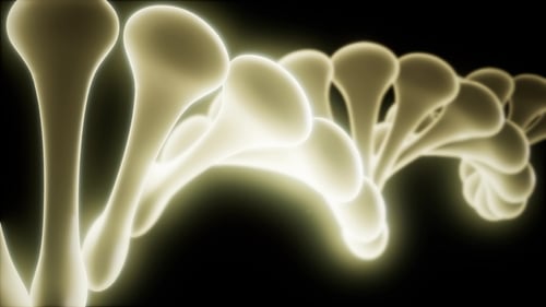 DNA Model Rotate