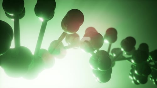 DNA Model Rotate