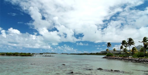 Ocean Landscape