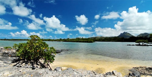 Ocean Landscape