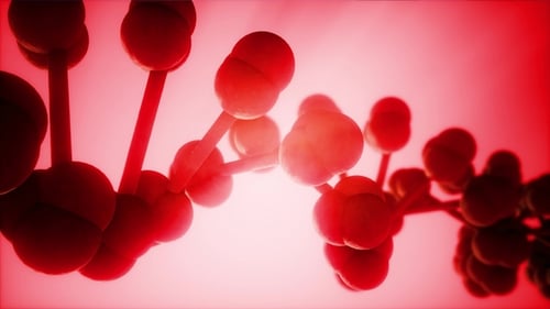 DNA Model Rotate