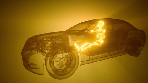 Driver with Visible Bones