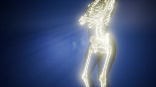 Human Bones Radiographic Scan