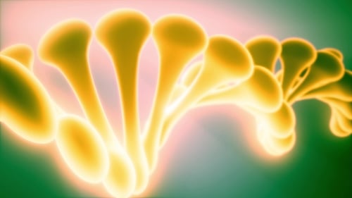 DNA Model Rotate