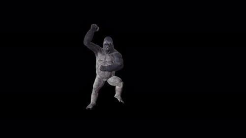 Gorilla 4K Gangnam Tanz
