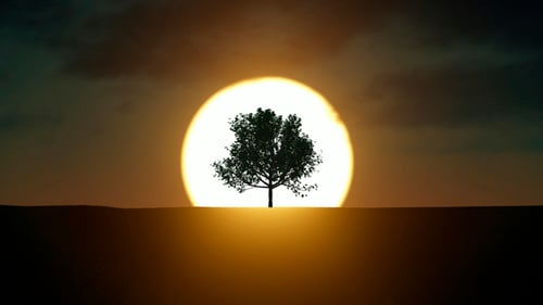 Árbol en crecimiento al amanecer