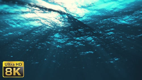 Shimmering Underwater Light Rays Reflecting on Ocean Surface